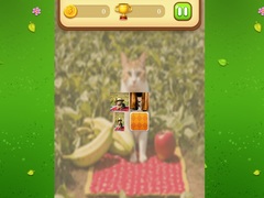 遊戲Farm Cat Memory Match