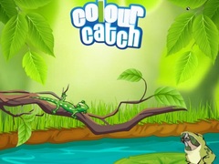 遊戲Colour Catch