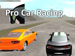 遊戲Pro Car Racing