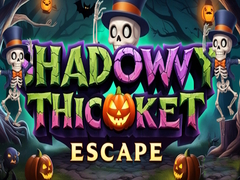 遊戲Shadowy Thicket Escape