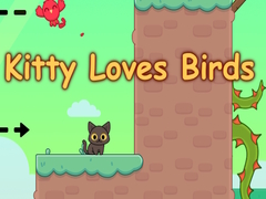 遊戲Kitty Loves Birds
