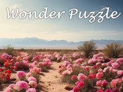 遊戲Wonder Puzzle