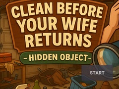遊戲Clean Before Your Wife Returns Hidden Object