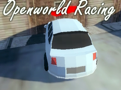 遊戲Openworld Racing