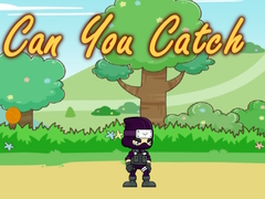 遊戲Can You Catch