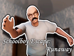 遊戲Schoolboy Escape: Runaway