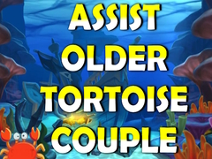 遊戲Assist Older Tortoise Couple