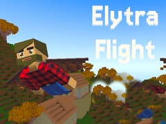 遊戲Elytra Flight