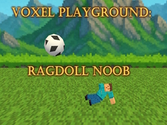 遊戲Voxel Playground: Ragdoll Noob