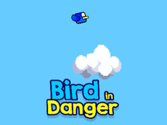 遊戲Bird in Danger