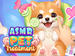遊戲ASMR Pet Treatment