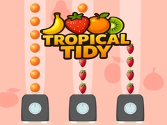 遊戲Tropical Tidy