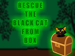 遊戲Rescue the Black Cat from Box