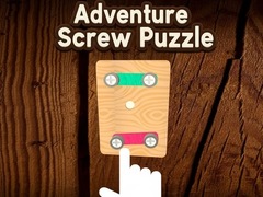 遊戲Adventure Screw Puzzle