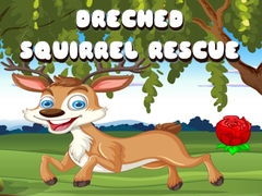遊戲Drenched Squirrel Rescue