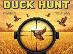 遊戲Duck Hunt