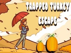 遊戲Trapped Turkey Escape