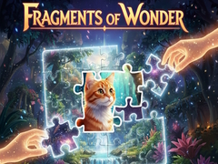 遊戲Fragments of Wonder