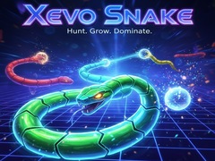 遊戲Xevo Snake