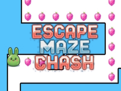 遊戲Escape Maze Chush
