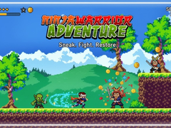 遊戲Ninja Warrior Adventure