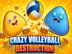 遊戲Crazy Volleyball Destruction