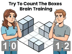 遊戲Try To Count The Boxes Brain Training