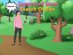 遊戲Concerned Mom Search Of Son