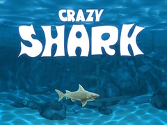 遊戲Crazy Shark