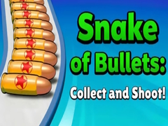 遊戲Snake of Bullets: Collect and Shoot!
