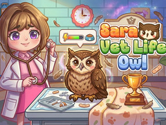 遊戲Sara Vet Life Ep14: Owl