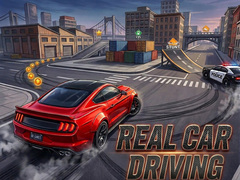 遊戲Real Car Driving