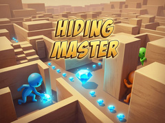 遊戲Hiding Master