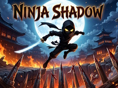 遊戲Ninja Shadow