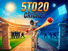 遊戲5TO20 Cricket
