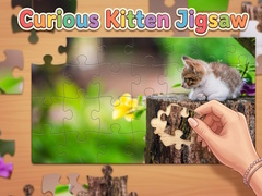 遊戲Curious Kitten Jigsaw