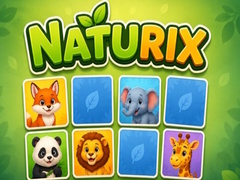 遊戲Naturix