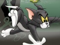 遊戲Tom And Jerry Chase In Marsh