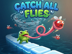 遊戲Catch All Flies