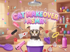 遊戲Cat Makeover ASMR