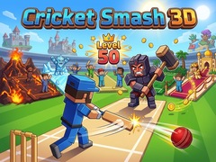 遊戲Cricket Smash 3D