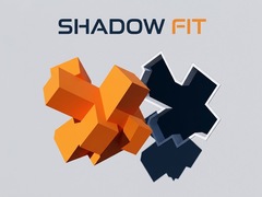遊戲Shadow Fit