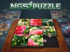 遊戲NGS Puzzle