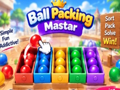 遊戲Packing Master Puzzle