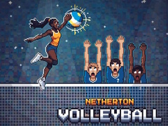 遊戲Netherton Volleyball