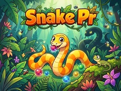 遊戲Snake Pr