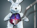 遊戲Save The Bunny