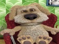 遊戲Talking Ben the Dog