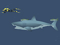 遊戲Mad Shark